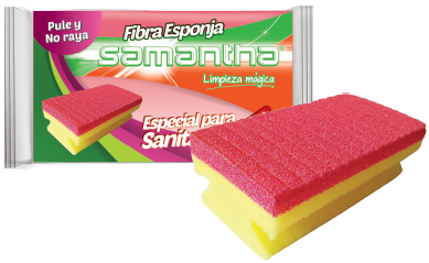 Esponja Especial Para Sanitarios